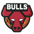 Chicago Bulls Logo đội